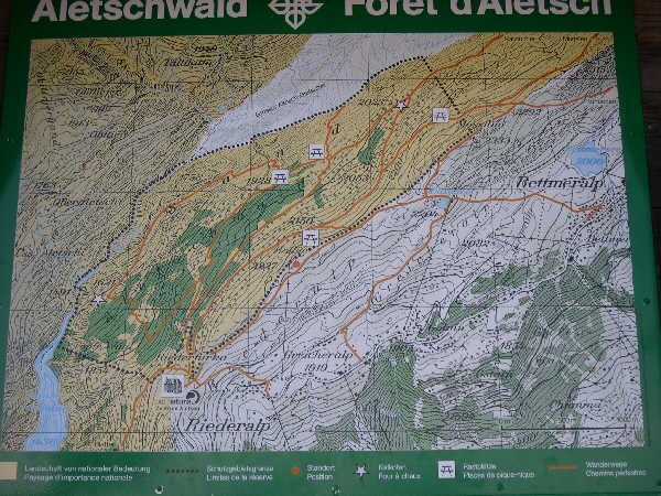 Map of the Aletsch Forest