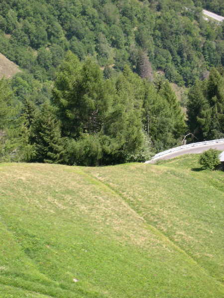 View from the cable car — Riederalp to Mörel