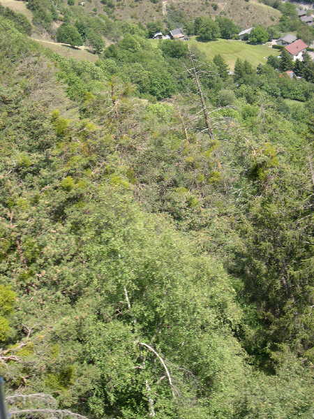 View from the cable car — Riederalp to Mörel